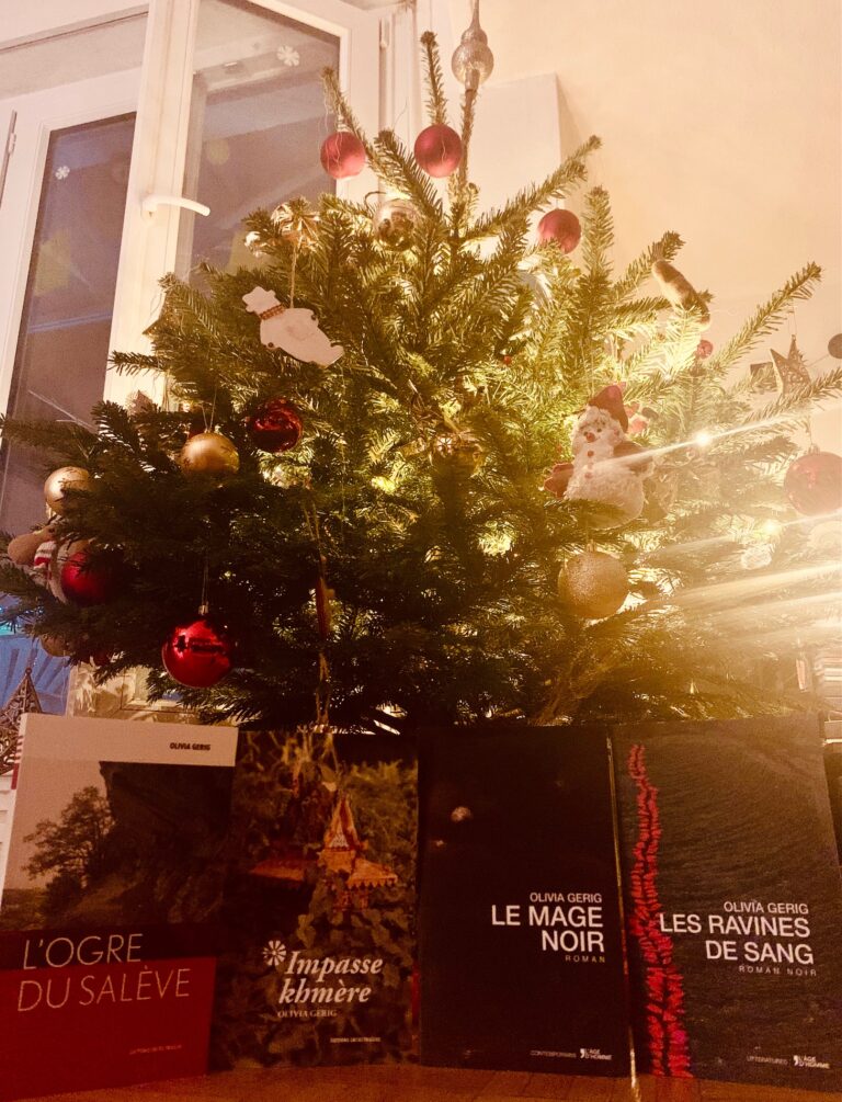 Livres_Sapin de Noël